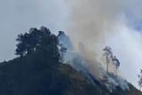 Empat hektare lahan savana di kaki Gunung Rinjani Sembalun terbakar