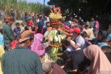 Warga berebut gunungan berisi hasil bumi saat kirab dan ritual budaya di kawasan Situs Calonarang, Kediri, Jawa Timur, Selasa (16/7/2024). Kegiatan di kawasan cagar budaya situs Calonarang tersebut dilakukan setiap tanggal 10 bulan Suro penanggalan Jawa. Antara Jatim/Prasetia Fauzani/um