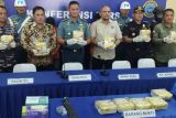 TNI AL Dumai tangkap tiga kurir bawa sabu 11,6 kilogram