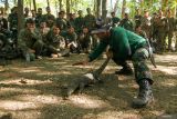 Pelatih memberikan materi menangkap biawak kepada Marinir Indonesia dan Marinir Amerika (USMC) pada Latihan bersama Platoon Exchange (Platex) 2024 di Pusat Latihan Pertempuran (PLP) Marinir 5 Baluran, Karang Tekok, Situbondo, Jawa Timur, Selasa (16/7/2024). Latihan bertahan hidup di hutan dengan mengolah sumberdaya alam yang bisa dimanfaatkan itu sebagai bekal pengetahuan ketika prajurit berada dalam kondisi darurat di dalam hutan. Pelatih memberikan materi menangkap biawak kepada Marinir Amerika (USMC) pada Latihan bersama Platoon Exchange (Platex) 2024 di Pusat Latihan Pertempuran (PLP) Marinir 5 Baluran, Karang Tekok, Situbondo, Jawa Timur, Selasa (16/7/2024). Latihan bertahan hidup di hutan dengan mengolah sumberdaya alam yang bisa dimanfaatkan itu sebagai bekal pengetahuan ketika prajurit berada dalam kondisi darurat di dalam hutan. ANTARA FOTO/Budi Candra SetyaANTARA FOTO/Budi Candra Setya (ANTARA FOTO/Budi Candra Setya)