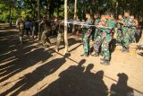 Prajurit Korps Marinir TNI-AL bersama Marinir Amerika (USMC) mempraktekkan Pertempuran jarak dekat pada Latihan bersama Platoon Exchange (Platex) 2024 di Pusat Latihan Pertempuran (PLP) Marinir 5 Baluran, Karang Tekok, Situbondo, Jawa Timur, Rabu (17/7/2024). Latihan Close Quaters Battle (CQB) tersebut untuk melatih skil prajurit dalam pertempuran jarak dekat serta menghancurkan musuh dan menguasai medan perang perkotaan. Antara Jatim/Budi Candra Setya/um 