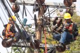 Pekerja mengganti kabel pada jaringan listrik tegangan menengah di Kota Kediri, Jawa Timur, Rabu (17/7/2024). PT PLN (Persero) mencanangkan Program Percepatan Pengambangan Energi Terbarukan guna mencapai kapasitas pembangkit energi baru terbarukan (EBT) hingga 75 persen atau sekitar 61,5 GW pada 2040. Antara Jatim/Prasetia Fauzani/um