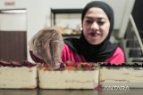 Pelaku UMKM menata susunan buah saat pembuatan kue cheesecuit di rumah produksi Nu Cookies, Gunungpuyuh, Kota Sukabumi, Jawa Barat, Kamis (18/7/2024). Pemprov Jawa Barat menargetkan sebanyak 600 ribu perempuan menjadi pengusaha baru pada akhir 2025. ANTARA FOTO/Henry Purba/agr