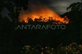 Api membakar hutan dan lahan (karhutla) lereng gunung Sipiso-piso di Merek, Karo, Sumatera Utara, Kamis (18/7/2024) malam. Menurut data Badan Penanggulangan Bencana Daerah (BPBD) Karo, api yang membakar sekitar 20 hektare hutan dan lahan di lereng gunung tersebut berasal dari Dusun Simpang Bage dan Nagori Sinar Naga Mariah, Kabupaten Simalungun yang selanjutnya merambat dengan cepat ke wilayah Gunung Sipiso-piso, sementara hingga Jumat (19/7) dini hari petugas masih mengupayakan pemadaman. ANTARA FOTO/Fransisco Carolio/aww.