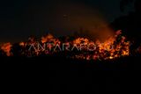 Api membakar hutan dan lahan (karhutla) lereng gunung Sipiso-piso di Merek, Karo, Sumatera Utara, Kamis (18/7/2024) malam. Menurut data Badan Penanggulangan Bencana Daerah (BPBD) Karo, api yang membakar sekitar 20 hektare hutan dan lahan di lereng gunung tersebut berasal dari Dusun Simpang Bage dan Nagori Sinar Naga Mariah, Kabupaten Simalungun yang selanjutnya merambat dengan cepat ke wilayah Gunung Sipiso-piso, sementara hingga Jumat (19/7) dini hari petugas masih mengupayakan pemadaman. ANTARA FOTO/Fransisco Carolio/aww.