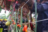 Warga yang dirias seperti dewi Sri atau Dewi padi di arak keliling Desa pada ritual adat Kebo-keboan Alas Malang, Banyuwangi, Jawa Timur, Minggu (21/7/2024). Tradisi yang dilaksanakan setiap tanggal 10 Suro pada penanggalan Jawa itu digelar sebagai penolak bala sekaligus wujud syukur masyarakat setempat atas rezeki dan panen yang telah diperoleh. ANTARA Jatim/Budi Candra Setya/mas.