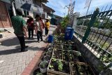 Pemkot Semarang petakan  lahan tidur untuk pertanian perkotaan