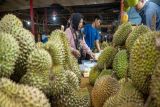 Pemprov Sulteng bantu berikan benih durian sebanyak 287.572 pohon