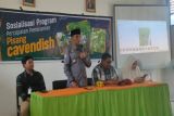 Pemprov Sulbar sosialisasi program pengembangan pisang cavendish skala bisnis