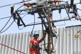 Anggota unit Pekerjaan Dalam Keadaan Bertengangan (PDKB) PT PLN Persero memasang kabel jaringan distribusi listrik bertegangan 20 kv dengan tongkat di kawasan bisnis Oro-oro Dowo, Malang, Jawa Timur, Senin (22/7/2024). Kegiatan pemeliharaan tersebut dilakukan dalam keadaan listrik masih menyala sehingga pasokan listrik di kawasan pusat bisnis dan pariwisata itu tidak terganggu. ANTARA Jatim/Ari Bowo Sucipto/mas.