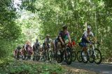 Sejumlah pebalap sepeda beradu cepat melintasi Taman Nasional Alas Purwo pada Kejuaraan International Tour De Banyuwangi Ijen (ITDBI) 2024 di Banyuwangi, Jawa Timur, Selasa (23/7/2024). Pada etape kedua ITDBI 2024 start dari Taman Nasional Alas Purwo dan finish di depan Kantor Bupati Banyuwangi sejauh 147,8 kilometer itu Pebalap Ferei Quick-Pada Podium Mongolia Team Laaz Martin menjadi yang tercepat dengan waktu 3 jam 20.46 menit disusul pebalap Malaysia Pro Cycling Abdul Halil Muhammad Izzat Hilmi dan Pebalab Kelapa Gading Bikers Kusuma Terry Yudha. Antara Jatim/Budi Candra Setya/um