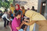 Sebanyak 157.210 anak jadi sasaran PIN Polio di Lampung Selatan