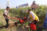 Petani mengamati traktor mini yang dipamerkan saat kegiatan bertajuk Parade Jagung Kediri 2024 di Kediri, Jawa Timur, Kamis (25/7/2024). Pameran alat pertanian dan hasil panen dari 24 varietas jagung unggulan dari 16 produsen benih selama 2 hari tersebut diselenggarakan oleh Dinas Pertanian dan Perkebunan dengan melibatkan sedikitnya seribu petani. Antara Jatim/Prasetia Fauzani/um