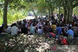 Sejumlah petani menggelar  zikir dan doa bersama saat berlangsung  tradisi Kenduri Blang (sawah)  di desa Lam Aling, kabupaten Aceh Besar, Aceh, Kamis (25/7/2024).  Tradisi Kenduri Blang atau kenduri sawah saat padi mulai berperut atau bunting  dihadiri sejumlah kelompok tani dengan ritual menggelar zikir dan doa bersama itu bertujuan untuk mendapatkan berkah agar hasil panen melimpah. ANTARA FOTO/Ampelsa.