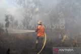 Petugas Badan Penanggulanan Bencana Daerah (BPBD) melakukan pembasahan ke lahan gambut yang terbakar di Sekunder C, Desa Rasau Jaya 3, Kecamatan Rasau Jaya, Kabupaten Kubu Raya, Kalimantan Barat, Rabu (24/7/2024). Kebakaran hutan dan lahan gambut seluas lima hektar yang terjadi tak jauh dari pemukiman penduduk sejak tiga hari lalu tersebut hingga kini belum diketahui penyebabnya. ANTARA FOTO/Jessica Wuysang/foc.