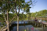 Manfaat hutan mangrove bagi kesejahteraan masyarakat