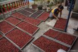 Warga menjemur buah kopi hasil panen di salah satu produsen kopi rumahan Dusun Sumber, Kecamatan Wonosalam, Kabupaten Jombang, Jawa Timur, Sabtu (27/7/2024). Produksi kopi rumahan di Wonosalam ini dalam seminggu bisa menerima pesanan bubuk kopi 100-200 kilogram mulai harga Rp14 ribu sampai Rp450 ribu per kilogramnya, sedangkan harga biji kopi robusta asalan mentah tahun ini mengalami kenaikan cukup signifikan berkisar Rp72 ribu hingga Rp75 ribu per kg. Antara Jatim/Syaiful Arif/um