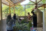 Merajut asa dari pinggiran hutan Tanjung Bonai Aur di Sumbar