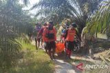 Tim SAR gabungan saat melakukan evakuasi terhadap Saimun pemancing yang diserang buaya di sungai Bukit Layang, Kabupaten Bangka, provinsi Kepulauan Bangka Belitung pada Minggu (28/7/2024). (ANTARA/ HO-Kansar Pangkalpinang)