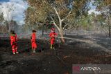 Pemadaman Kebakaran Lahan Gambut Di Palangka Raya