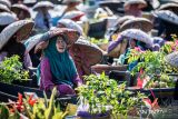 Sejumlah pedagang membawa dagangan di atas perahu saat Festival Pasar Terapung Lok Baintan 2024 di Sungai Martapura, Kecamatan Sungai Tabuk, Kabupaten Banjar, Kalimantan Selatan, Minggu (28/7/2024). Festival bertajuk Pesona Susur Sungai Urang Banjar yang diikuti sekitar 500 pedagang pasar terapung itu bertujuan melestarikan budaya dan kultur masyarakat pesisir Sungai Martapura. ANTARA FOTO/Bayu Pratama S/wsj.