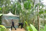 Petugas memasang garis pembatas di tenda yang menjadi laboratorium rahasia (clandestine lab) narkotika saat konferensi pers di sebuah vila di kawasan Desa Kelusa, Gianyar, Bali, Selasa (23/7/2024). BNN bekerja sama dengan sejumlah instansi terkait mengungkap kasus laboratorium rahasia di tenda yang dibangun di area vila untuk pembuatan narkotika jenis N,N-Dimethyltryptamine (DMT) pertama di Indonesia yang diproduksi tersangka warga negara Filipina berinisial DAS dan diinisiasi oleh warga Yordania berinisial AMI yang hingga kini masih dalam pengejaran. ANTARA FOTO/Fikri Yusuf/nym.
