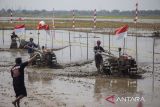 Peserta memacu traktor saat mengikuti lomba balap traktor sawah di Desa Pekandangan Jaya, Indramayu, Jawa Barat, Rabu (31/7/2024). Lomba balap traktor sawah yang digelar Pemkab Indramayu itu sebagai ungkapan rasa syukur atas hasil panen sekaligus menyongsong musim tanam. ANTARA FOTO/Dedhez Anggara/agr