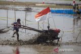 Peserta memacu traktor saat mengikuti lomba balap traktor sawah di Desa Pekandangan Jaya, Indramayu, Jawa Barat, Rabu (31/7/2024). Lomba balap traktor sawah yang digelar Pemkab Indramayu itu sebagai ungkapan rasa syukur atas hasil panen sekaligus menyongsong musim tanam. ANTARA FOTO/Dedhez Anggara/agr