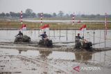 Peserta memacu traktor saat mengikuti lomba balap traktor sawah di Desa Pekandangan Jaya, Indramayu, Jawa Barat, Rabu (31/7/2024). Lomba balap traktor sawah yang digelar Pemkab Indramayu itu sebagai ungkapan rasa syukur atas hasil panen sekaligus menyongsong musim tanam. ANTARA FOTO/Dedhez Anggara/agr