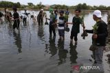 Sejumlah anggota organisasi kemanusian Human Initiative bersama BUMN,  Dinas Kelautan dan Perikanan Aceh serta masyarakat menanam bibit manggrove di Ruang Terbuka Hijau (RTH) kawasan hutan pesisir Banda Aceh, Aceh, Rabu (31/7/2024). Penanaman sebanyak 1.000 bibit manggrove yang merupakain rangkai hari manggrove Internasional  itu dalam upaya mendukung target pemerintah  merehabilitasi manggrove seluas 6.000 ribu hektare pada tahun 2024. ANTARA FOTO/Ampelsa.