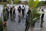 Sejumlah anggota organisasi kemanusian Human Initiative bersama BUMN,  Dinas Kelautan dan Perikanan Aceh serta masyarakat menanam bibit manggrove di Ruang Terbuka Hijau (RTH) kawasan hutan pesisir Banda Aceh, Aceh, Rabu (31/7/2024). Penanaman sebanyak 1.000 bibit manggrove yang merupakain rangkai hari manggrove Internasional  itu dalam upaya mendukung target pemerintah  merehabilitasi manggrove seluas 6.000 ribu hektare pada tahun 2024. ANTARA FOTO/Ampelsa.