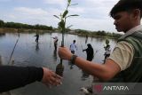 Sejumlah anggota organisasi kemanusian Human Initiative bersama BUMN,  Dinas Kelautan dan Perikanan Aceh serta masyarakat menanam bibit manggrove di Ruang Terbuka Hijau (RTH) kawasan hutan pesisir Banda Aceh, Aceh, Rabu (31/7/2024). Penanaman sebanyak 1.000 bibit manggrove yang merupakain rangkai hari manggrove Internasional  itu dalam upaya mendukung target pemerintah  merehabilitasi manggrove seluas 6.000 ribu hektare pada tahun 2024. ANTARA FOTO/Ampelsa.