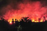 Warga menyaksikan kebakaran hutan dan lahan (karhutla) di Tangkit, Muaro Jambi, Jambi, Selasa (30/7/2024). Warga setempat menyebutkan, sekitar lima hektare lahan di daerah itu terbakar sejak Selasa (30/7/2024) sore. ANTARA FOTO/Wahdi Septiawan/rwa.