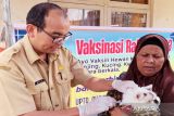 Drh. Wahidin Beruh : Mengenal rabies tindakan dan penanganan