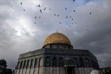 Pemukim ilegal Israel serbu Masjid Al-Aqsa