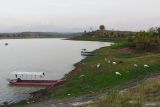 Warga menggembala domba di areal Waduk Dawuhan yang airnya menyusut di Kabupaten Madiun, Jawa Timur, Senin (5/8/2024). Waduk yang memiliki daerah irigasi seluas 2.823 hektare sawah itu airnya terus menyusut hingga sebagian dasar waduk mulai mengering akibat musim kemarau. Antara Jatim/Siswowidodo/um