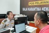 Balai Karantina Lampung tempatkan petugas di Kantor Pos dekatkan pelayanan