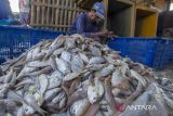 Nelayan mengumpulkan ikan hasil tangkapan di dermaga Karangsong, Indramayu, Jawa Barat, Selasa (6/8/2024). Kementerian Perikanan dan Kelautan mencatat produksi perikanan tangkap pada semester 1 2024 melampaui target yakni mencapai 111,33 persen atai 3,34 juta ton yang terdiri dari perairan laut dan perairan darat. ANTARA FOTO/Dedhez Anggara/agr