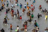 Sejumlah warga menangkap ikan saat tradisi Pemetan Ikan di Waduk Prangi, Bojonegoro, Jawa Timur, Rabu (7/8/2024). Tradisi menangkap ikan yang dilakukan setahun sekali saat air waduk mulai mengering itu sebagai pertanda memasuki musim kemarau dan sarana warga untuk saling bersilaturahmi. Antara Jatim/Muhammad Mada/um