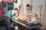 Bocah enam tahun tewas usai tertabrak truk bermuatan batu bara PT HPU-MGM