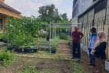 Ketua LPPM Unsri Palembang  kembangkan 'urban farming 4 in 1'