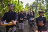 Sejumlah murid Kampung Baca Taman Rimba (Batara) mengarak kesenian Barong karyanya yang terbuat dari anyaman bambu di Kampung Papring, Banyuwangi, Jawa Timur, Minggu (11/8/2024). Arak-arakan Barong dan Phitik-phitikan karya siswa Kampung Baca Taman Rimba (Batara) itu selain untuk melestarikan budaya dan tradisi setempat juga mengkampanyekan semangat menanam bambu agar debit air selalu terjaga sehingga memberikan dampak lingkungan dan ekonomi masyarakat sekitar yang mayoritas bekerja sebagai perajin bambu. ANTARA Jatim/Budi Candra Setya/mas.