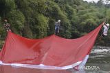 Warga mengangkat bendera Merah Putih dari sungai di jembatan gantung Sukamenak, Kampung Benteng, Kecamatan Purbaratu, Kota Tasikmalaya, Jawa Barat, Minggu (11/8/2024). Pembentangan bendera Merah Putih berukuran 60 meter persegi tersebut dalam rangka persiapan upacara menyambut HUT Ke-79 RI. ANTARA FOTO/Adeng Bustomi/agr