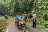 Polres Lambar buka tutup jalan lintas Liwa-Krui akibat pohon tumbang