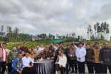 Mentawir Nursery Facility in IKN funded at Rp330 billion: KLHK