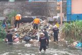 Baguna PDIP Yogyakarta bersihkan Sungai Code, ajak masyarakat aktif bebaskan sungai dari sampah