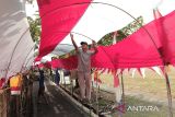 Warga memasang lampu di lorong bendera Merah Putih, Kampung Selajambe, Desa Selajambe, Sukuluyu, Kabupaten Cianjur, Jawa Barat, Senin (12/8/2024). Lorong bendera Merah Putih sepanjang 200 meter hasil swadaya masyarakat tersebut dipasang dalam rangka menyemarakkan HUT ke-79 RI. ANTARA FOTO/Henry Purba/agr