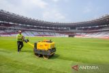 Laga Timnas Indonesia kontra Australia di GBK dipasangi rumput terbaik