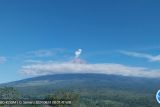 Gunung Semeru mengalami erupsi beberapa kali dengan tinggi letusan hingga 800 meter