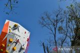 Atlet panjang tebing dari FPTI DKI Jakarta, Irsyaddul Halim terjatuh saat menjalani sesi kualifikasi saat mengikuti kompetisi panjat tebing Eiger Independece Sport Climbing Competition (EISCC) 2024 di Bandung, Jawa Barat, Kamis (15/8/2024). EISCC yang diikuti 150 peserta dari tujuh negara di Asia tersebut digelar dalam rangka memeriahkan hari kemerdekaan Republik Indonesia Ke-79 serta menjalin persahabatan antar negara melalui panjat tebing. ANTARA FOTO/Raisan Al Farisi/agr